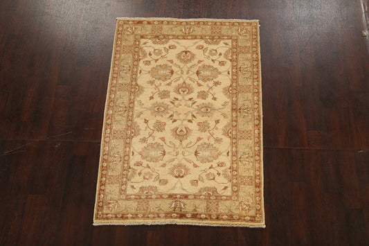 Floral Peshawar Oriental Area Rug 4x6