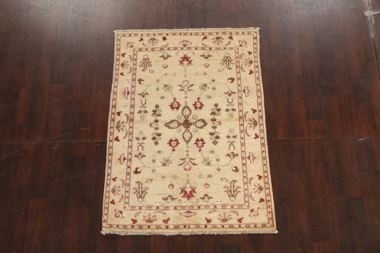 Floral Peshawar Oriental Area Rug 4x5