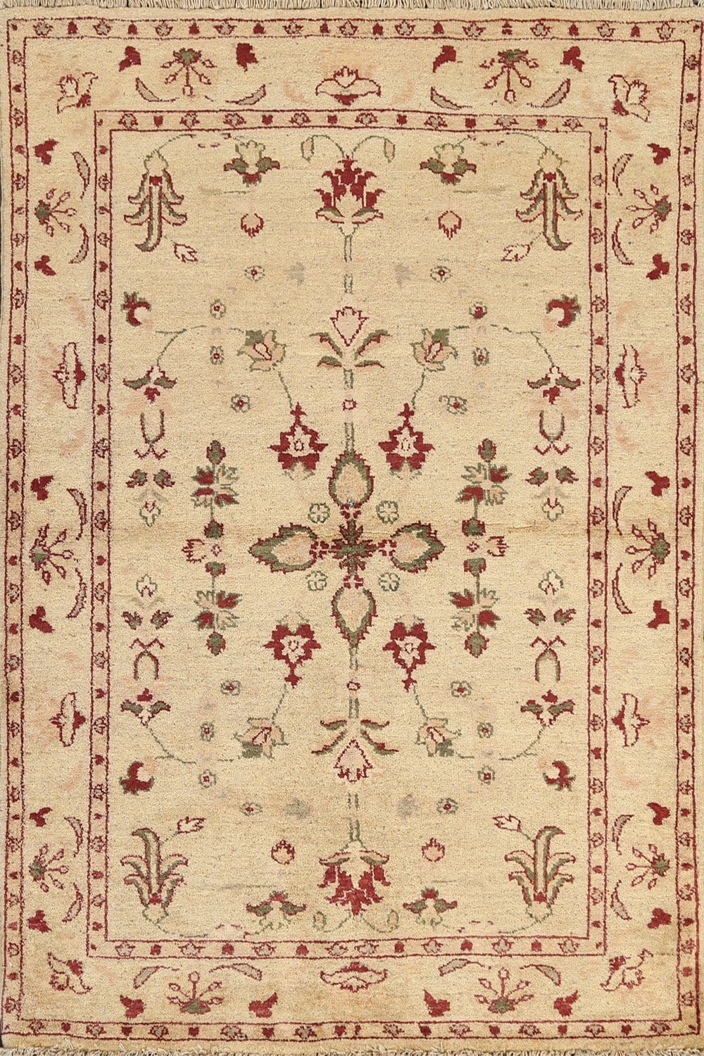 Floral Peshawar Oriental Area Rug 4x5