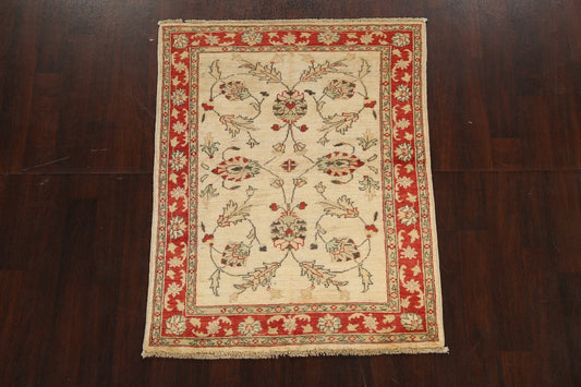 Floral Peshawar Oriental Area Rug 4x5