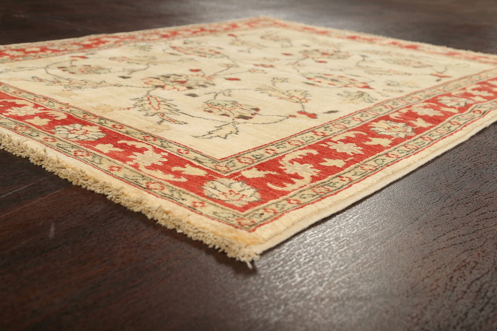 Floral Peshawar Oriental Area Rug 4x5