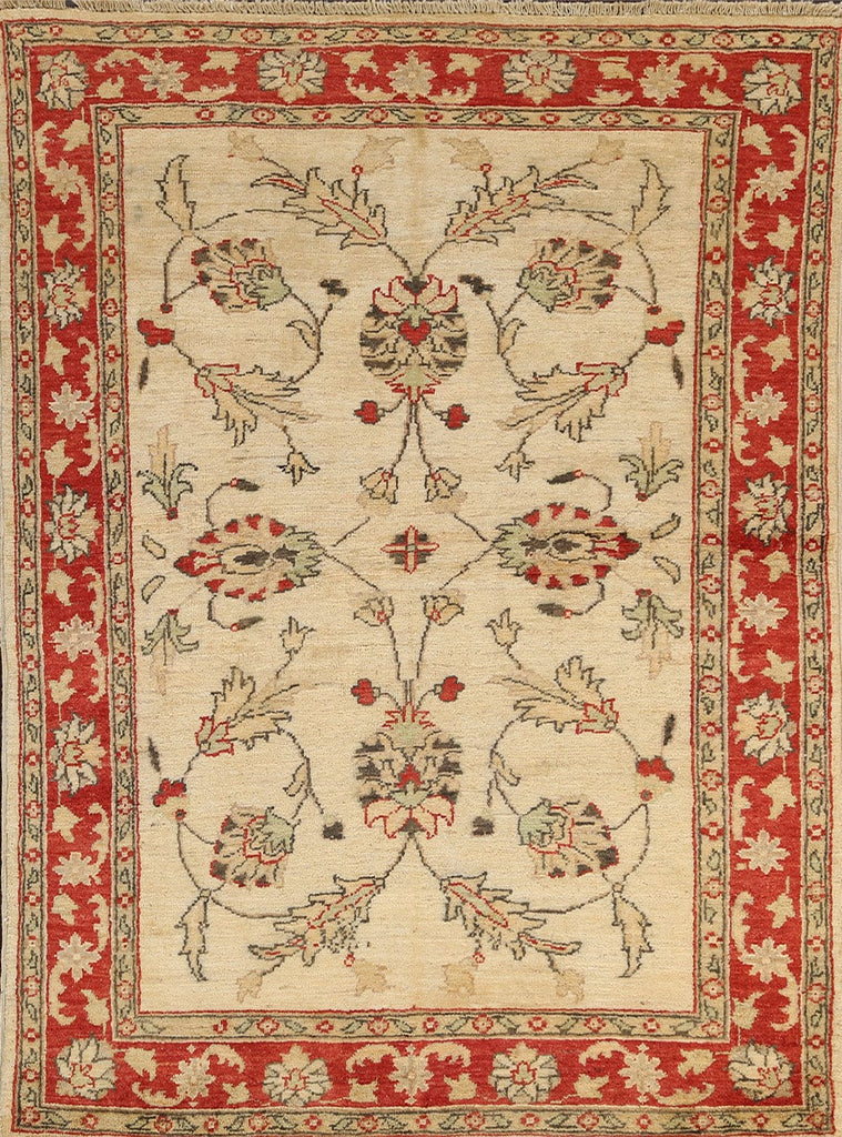 Floral Peshawar Oriental Area Rug 4x5