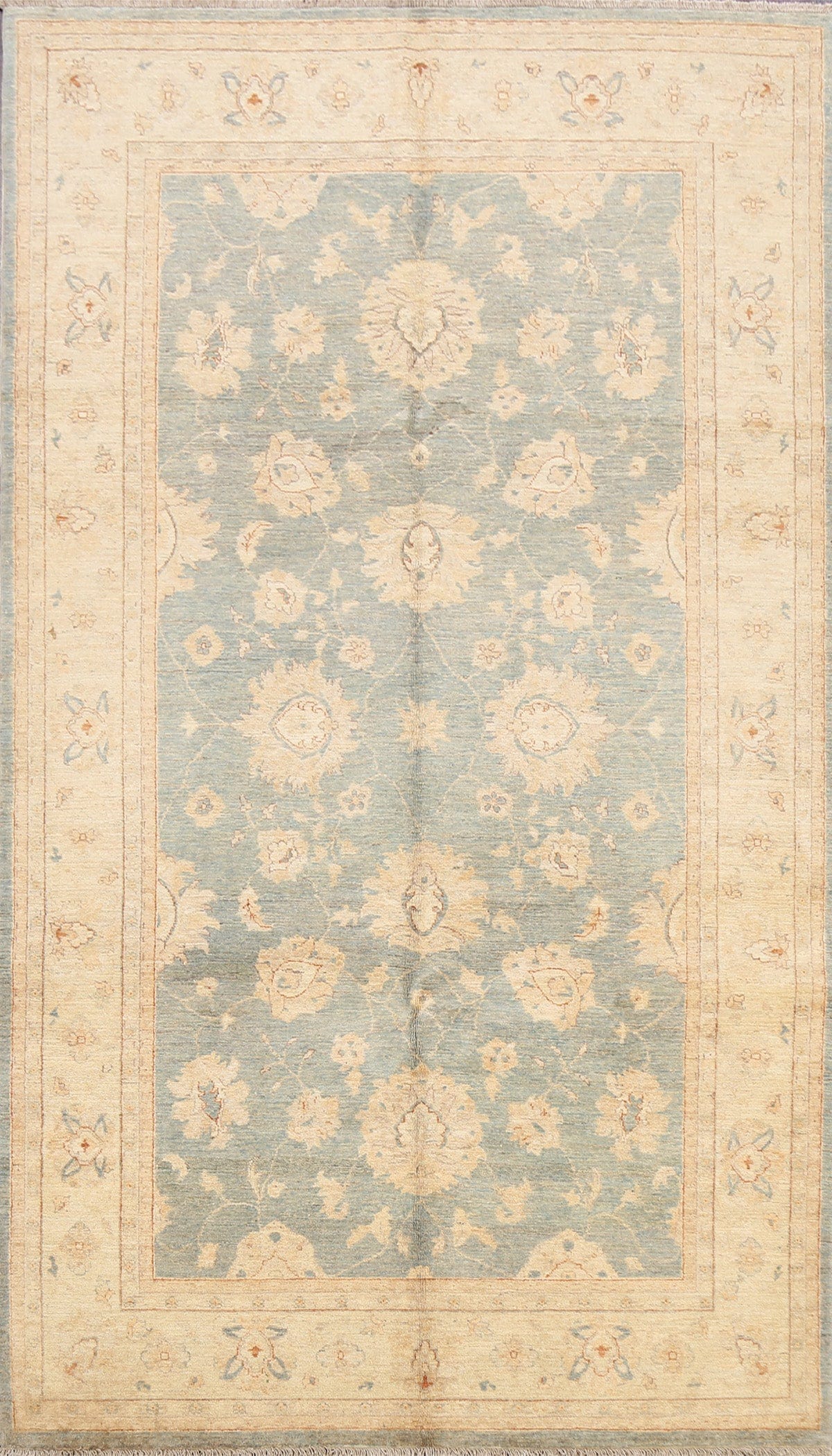 100% Vegetable Dye Floral Peshawar Oriental Area Rug 6x9