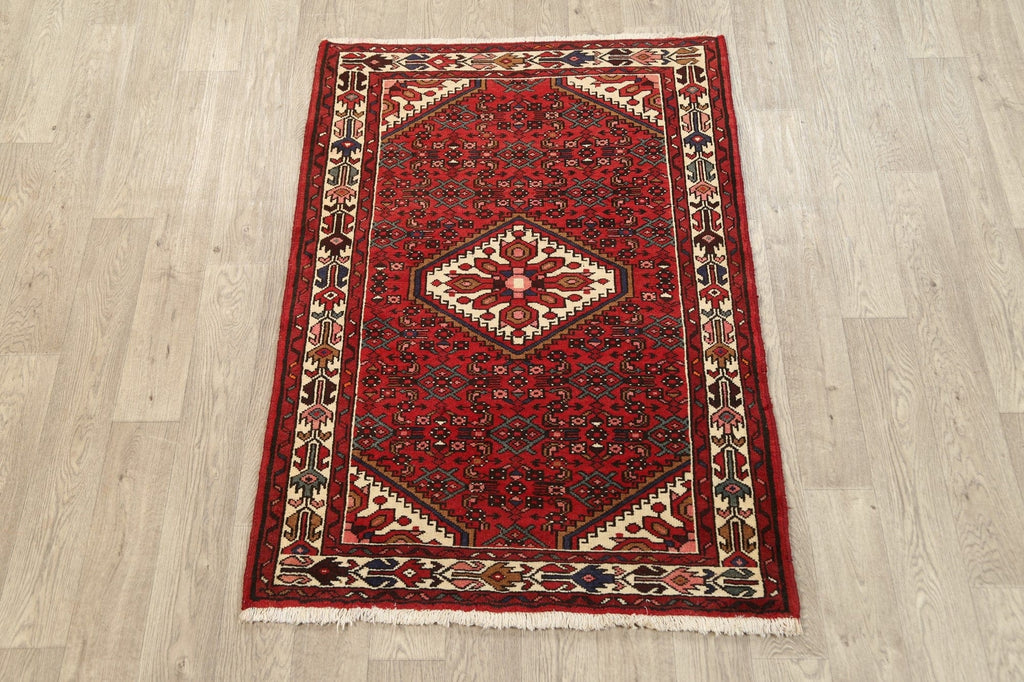 Geometric Hamedan Persian Area Rug 4x5