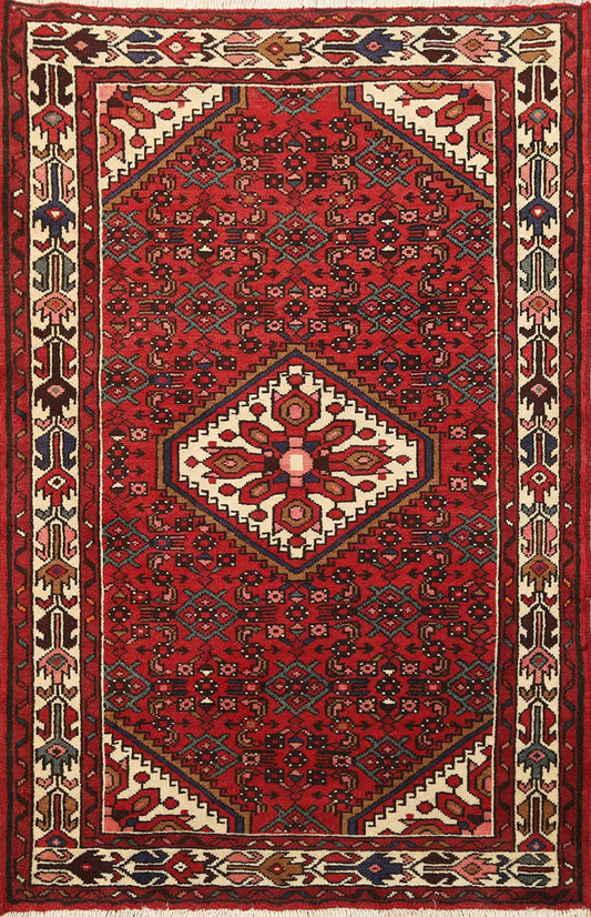 Geometric Hamedan Persian Area Rug 4x5