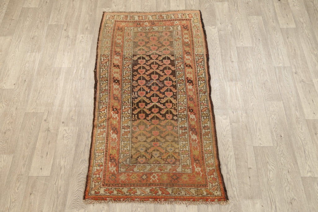 Pre-1900 Antique Vegetable Dye Malayer Persian Area Rug 3x6