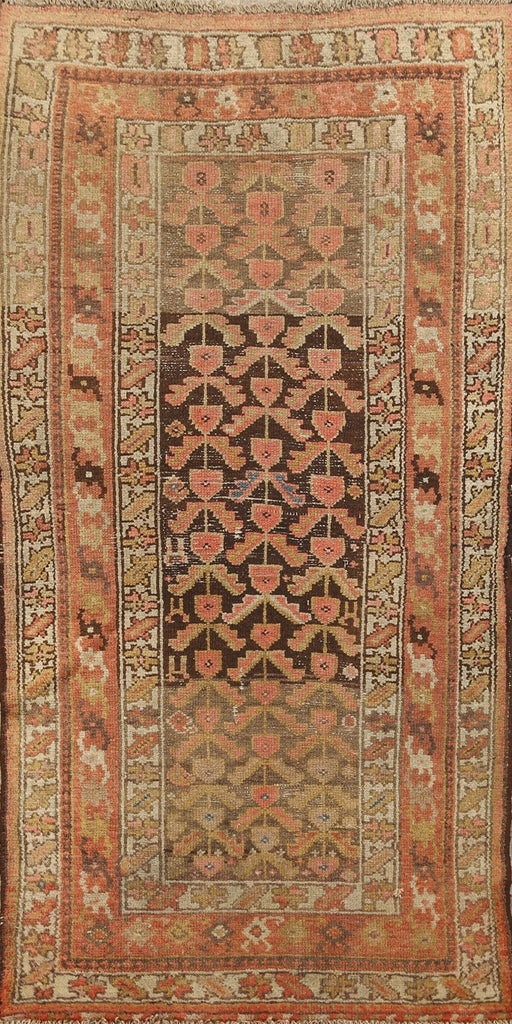 Pre-1900 Antique Vegetable Dye Malayer Persian Area Rug 3x6