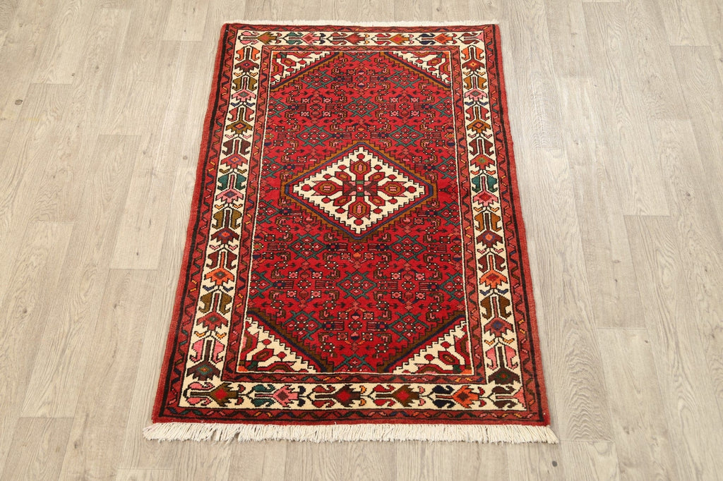 Geometric Hamedan Persian Area Rug 4x5