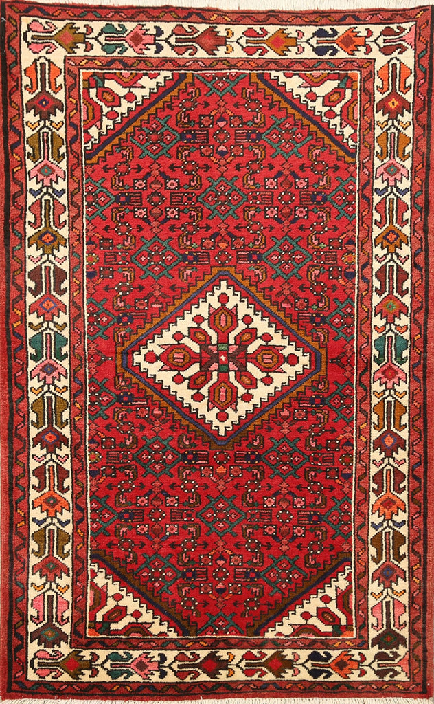 Geometric Hamedan Persian Area Rug 4x5