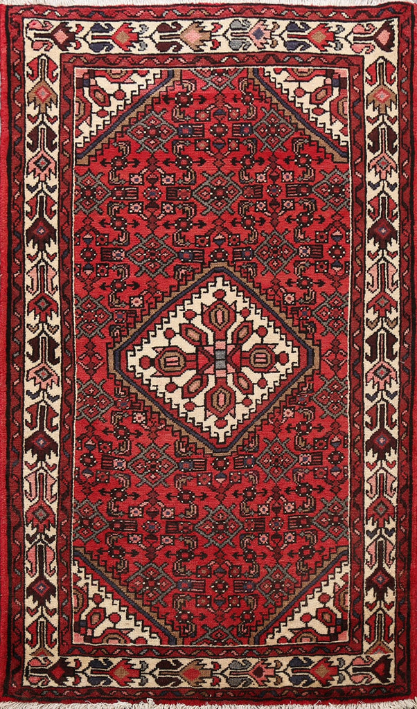 Geometric Hamedan Persian Area Rug 3x5