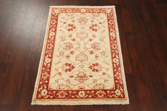 Floral Peshawar Oriental Area Rug 3x4