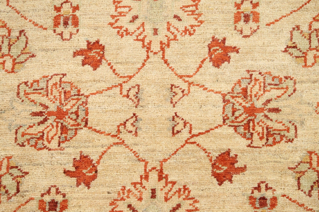 Floral Peshawar Oriental Area Rug 3x4