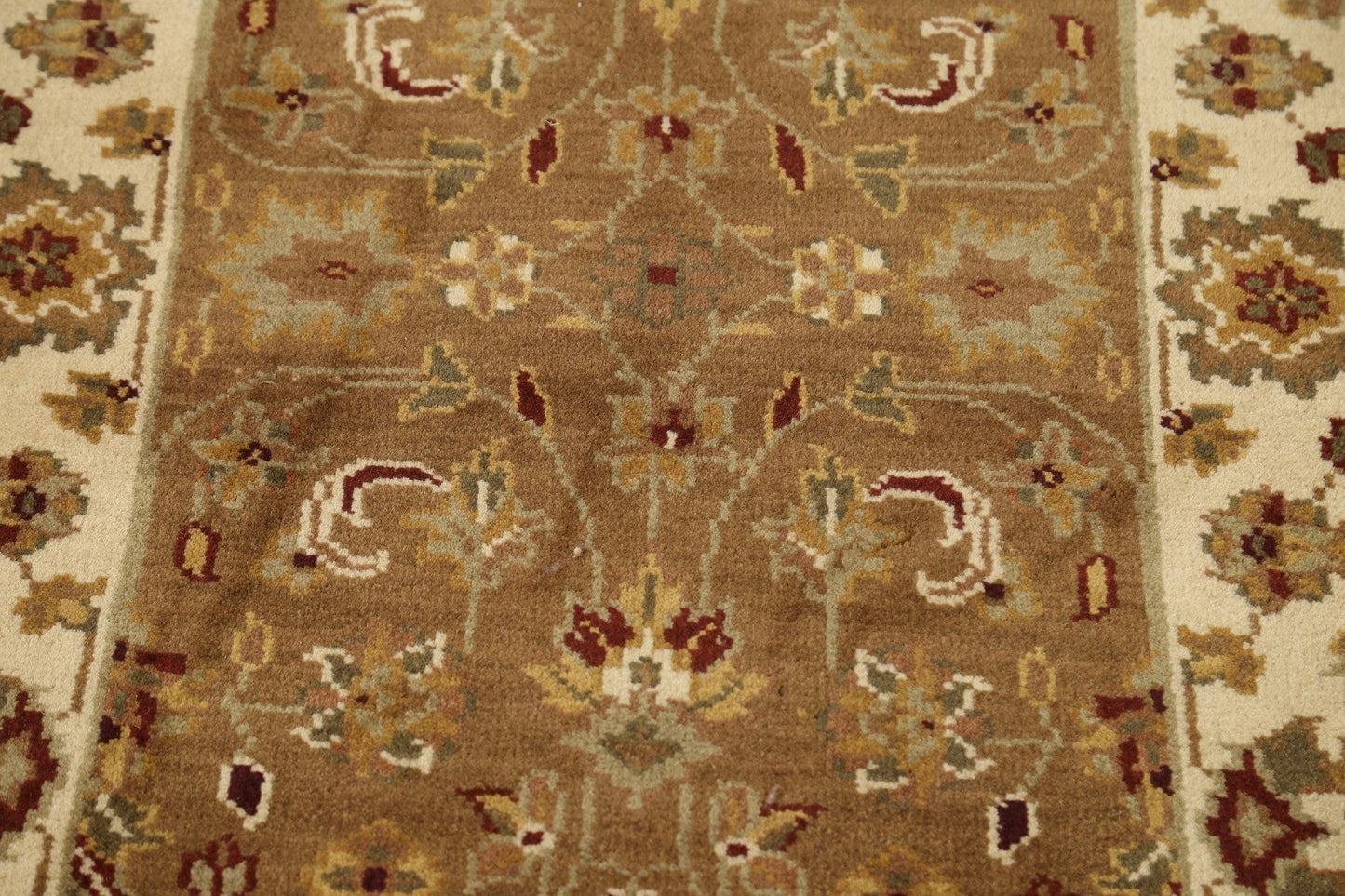 Floral Agra Oriental Area Rug 3x4