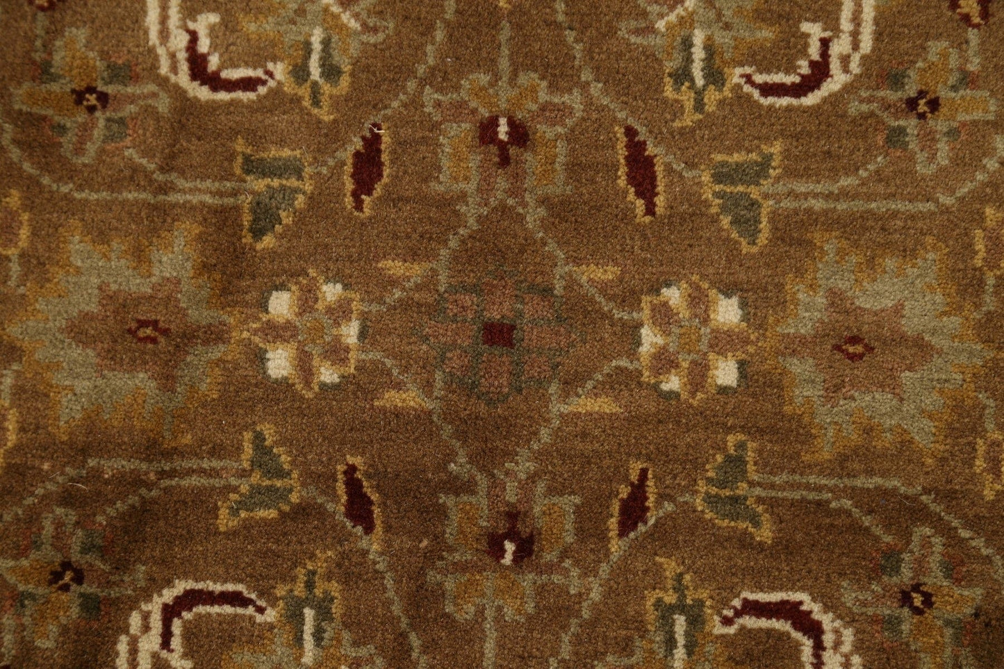 Floral Agra Oriental Area Rug 3x4