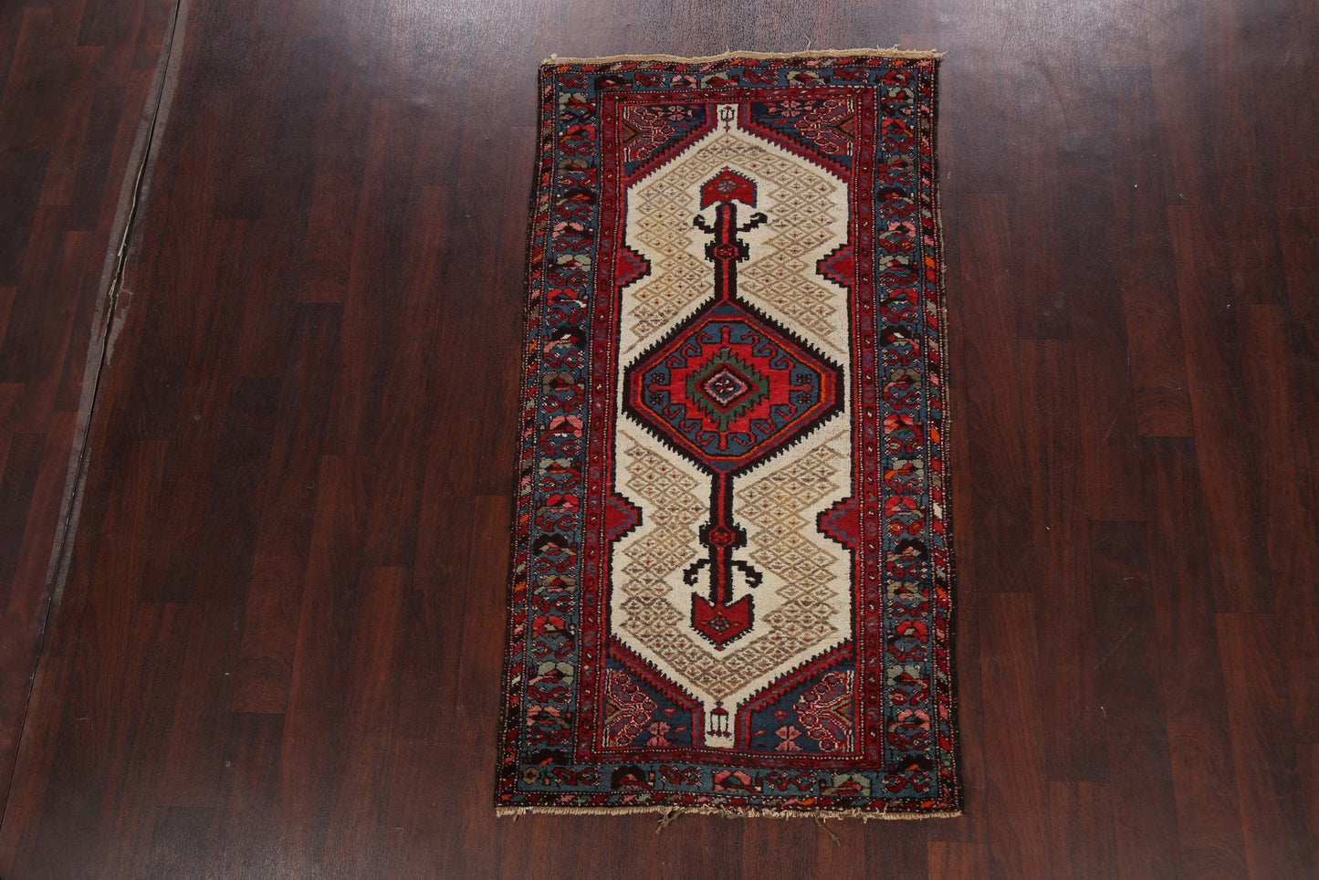 Geometric Hamedan Persian Area Rug 3x6