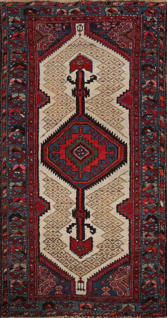 Geometric Hamedan Persian Area Rug 3x6