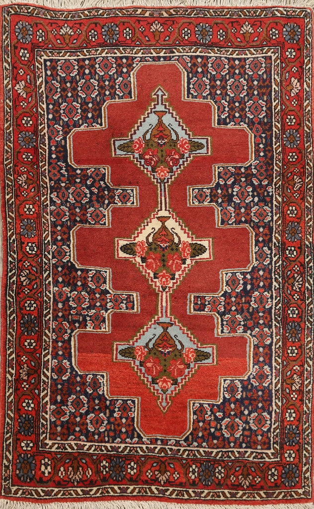 100% Vegetable Dye Bidjar Persian Area Rug 3x4