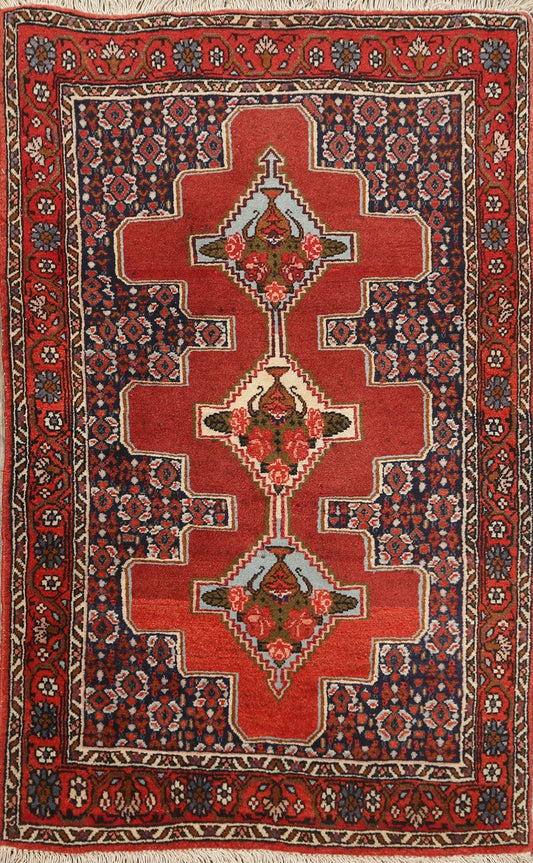 100% Vegetable Dye Bidjar Persian Area Rug 3x4