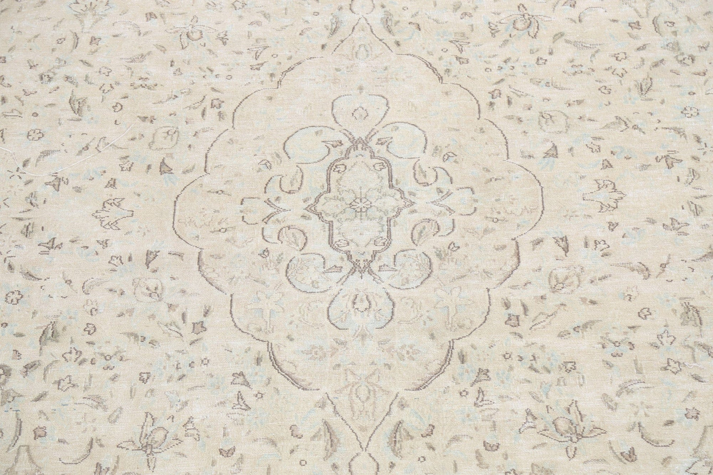 Muted Distressed Kerman Persian Area Rug 10x13