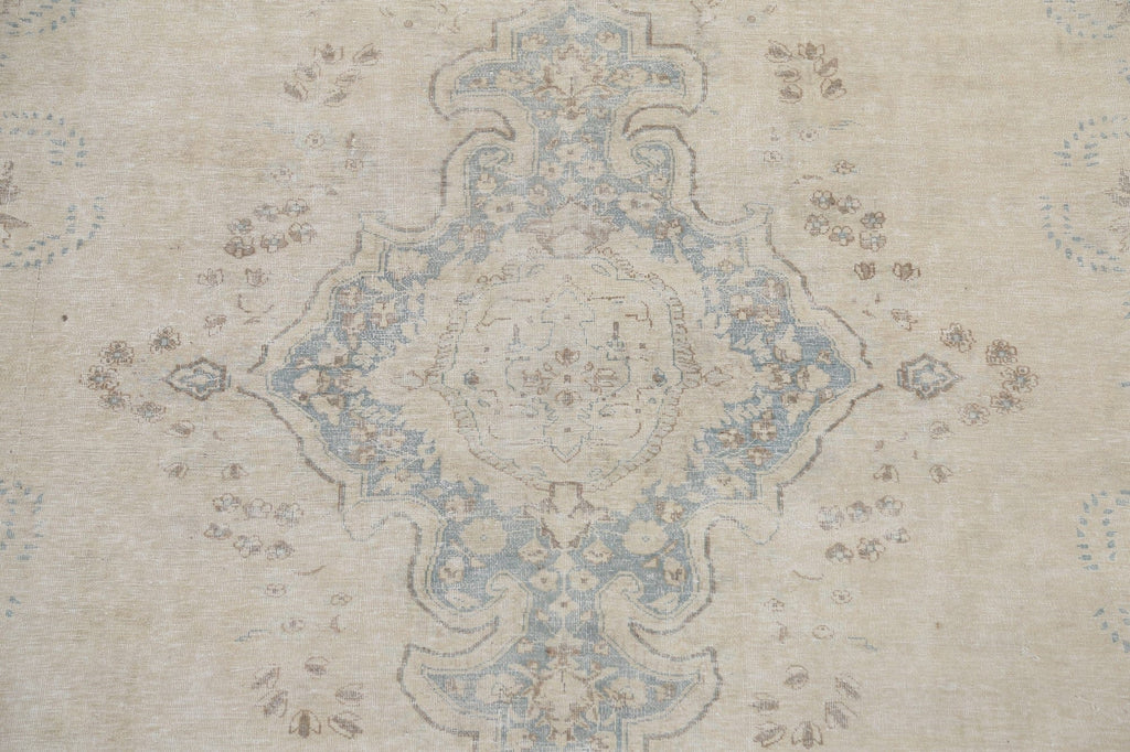 Muted Distressed Kerman Persian Area Rug 10x13