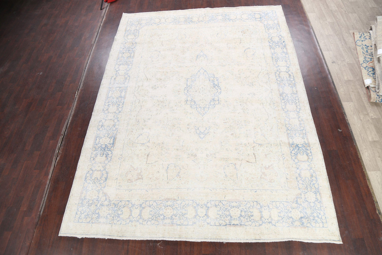 Muted Distressed Kerman Persian Area Rug 10x13