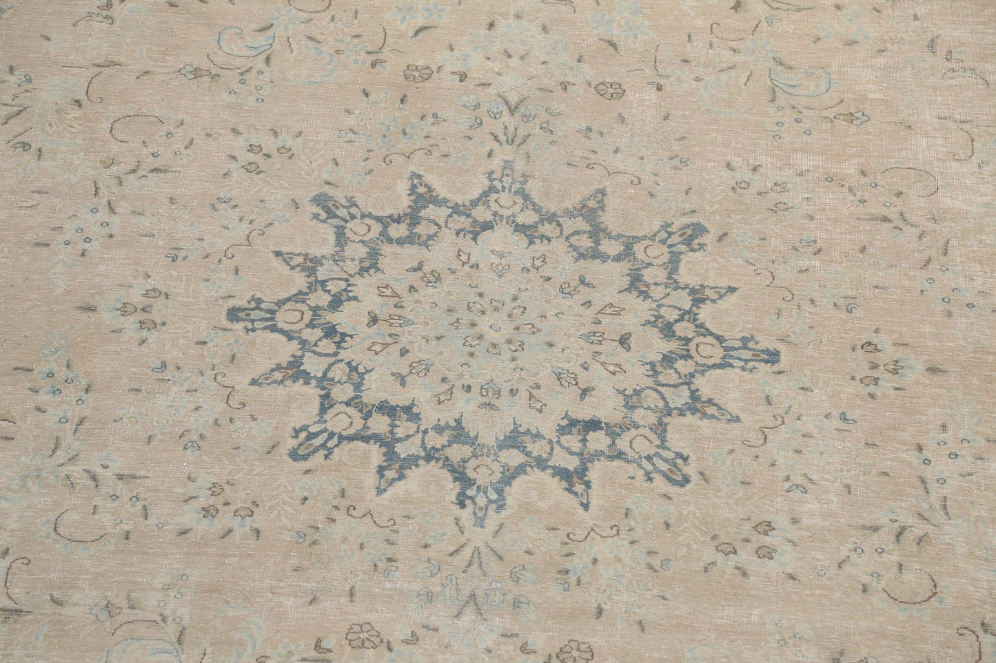 Muted Distressed Kerman Persian Area Rug 10x13