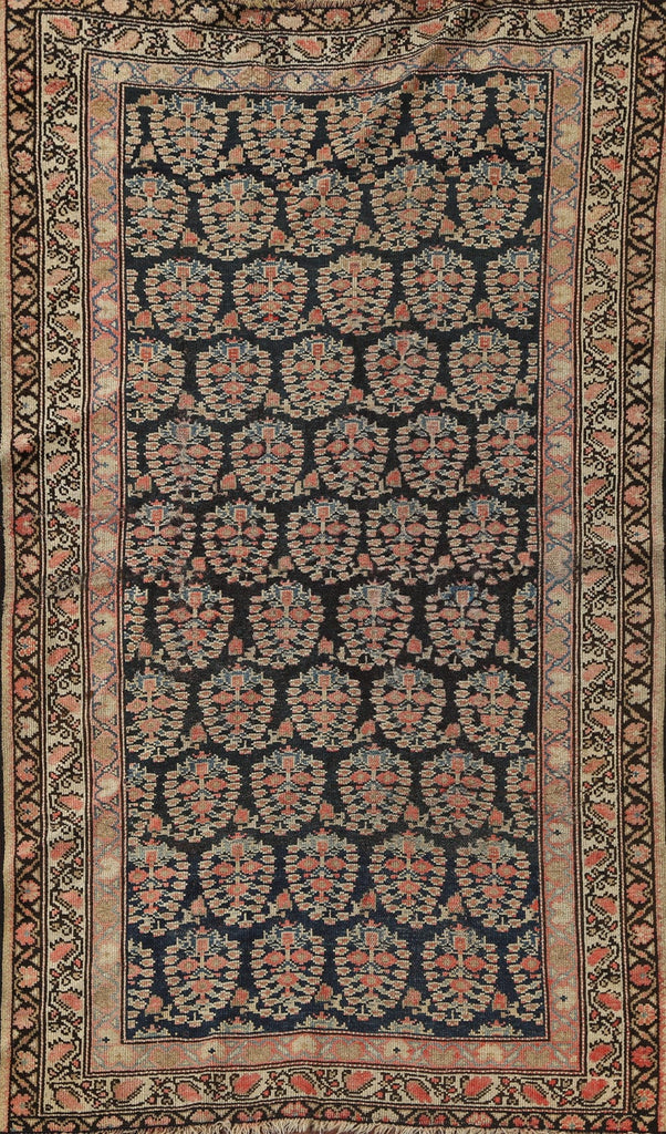 Pre-1900 Antique Vegetable Dye Senneh Bidjar Persian Area Rug 3x5