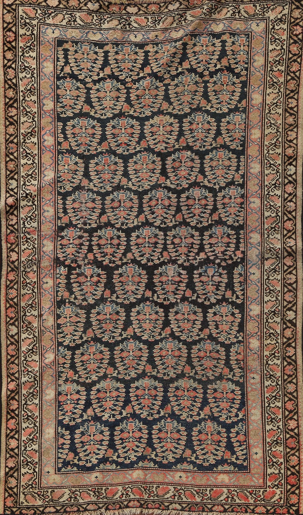 Pre-1900 Antique Vegetable Dye Senneh Bidjar Persian Area Rug 3x5