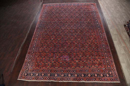 Pre-1900 Antique Vegetable Dye Bakhtiari Persian Area Rug 11x15