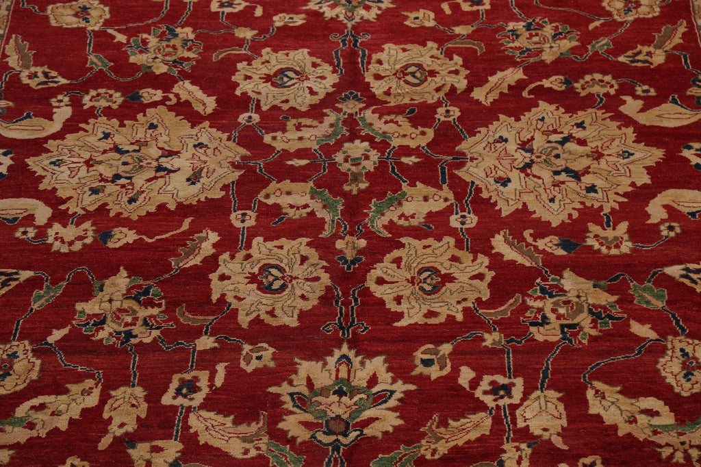 Large Floral Peshawar Oriental Area Rug 11x18