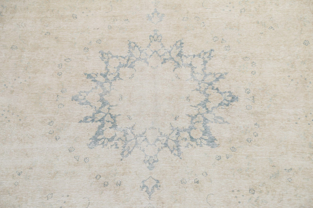 Muted Distressed Kerman Persian Area Rug 10x12