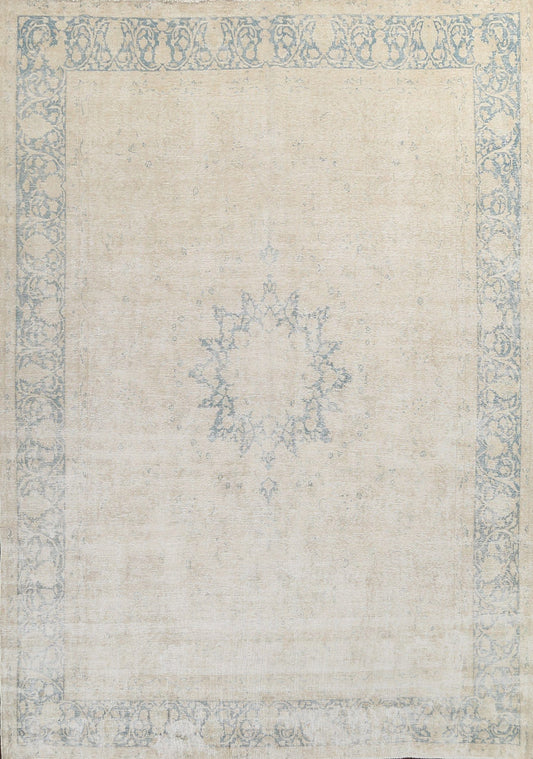 Muted Distressed Kerman Persian Area Rug 10x12