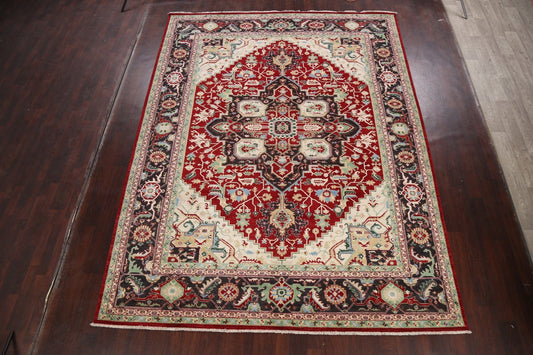 100% Vegetable Dye Heriz Oriental Area Rug 9x12