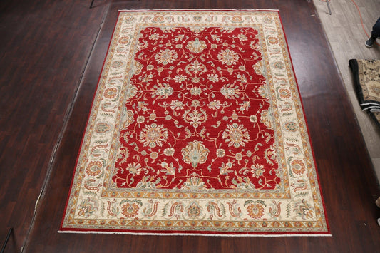 100% Vegetable Dye Sultanabad Ziegler Oriental Area Rug 9x12