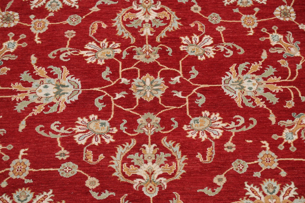 100% Vegetable Dye Sultanabad Ziegler Oriental Area Rug 9x12