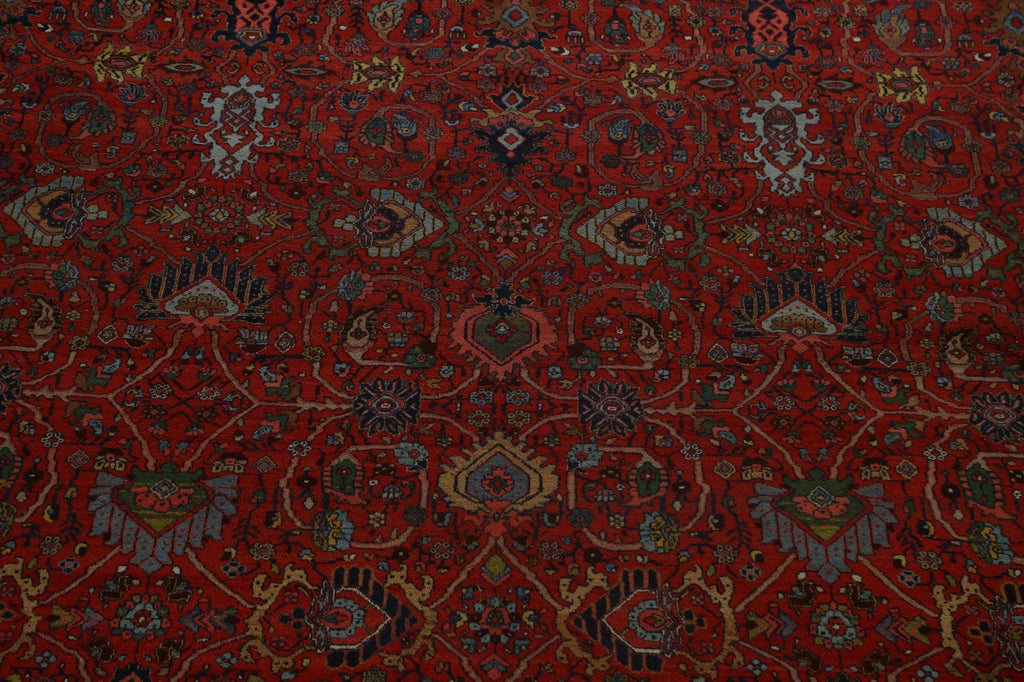 Antique 100% Vegetable Dye Bidjar Halvaei Persian Area Rug 14x24