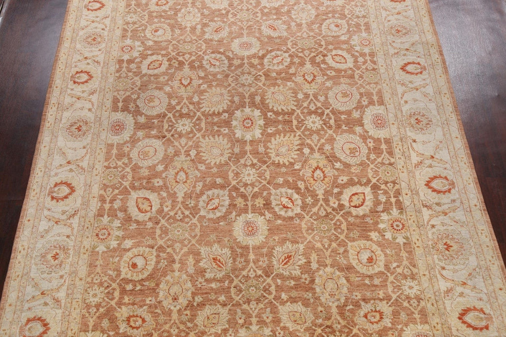 100% Vegetable Dye Floral Ziegler Oriental Area Rug 9x12