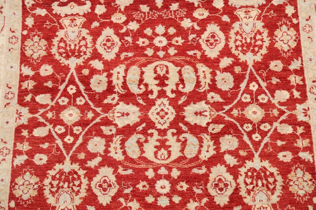 100% Vegetable Dye Peshawar Chobi Oriental Area Rug 5x7