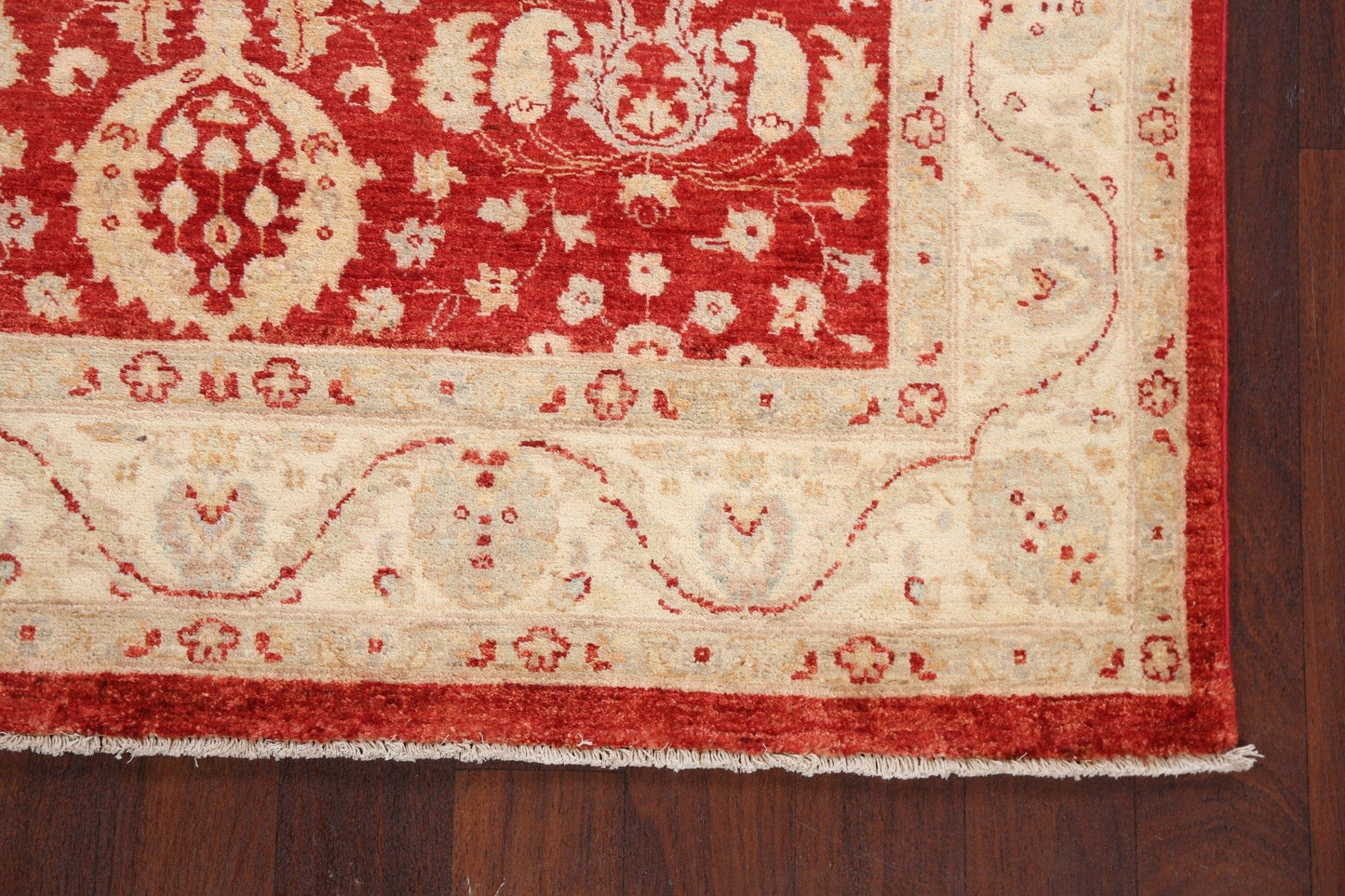 100% Vegetable Dye Peshawar Chobi Oriental Area Rug 5x7