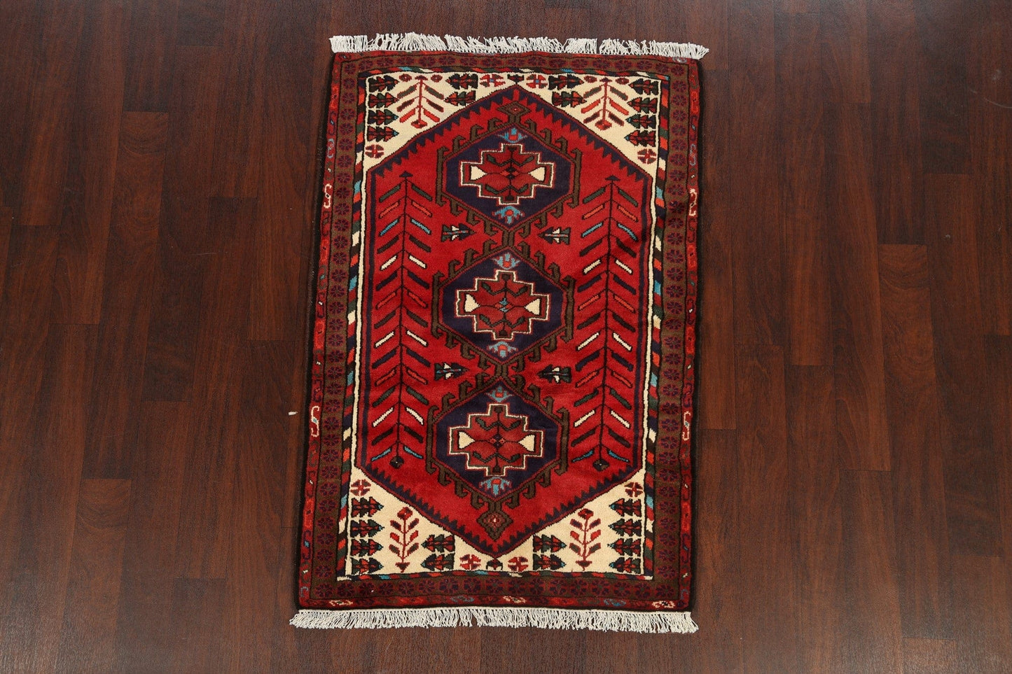 Tribal Geometric Hamedan Persian Area Rug 3x5