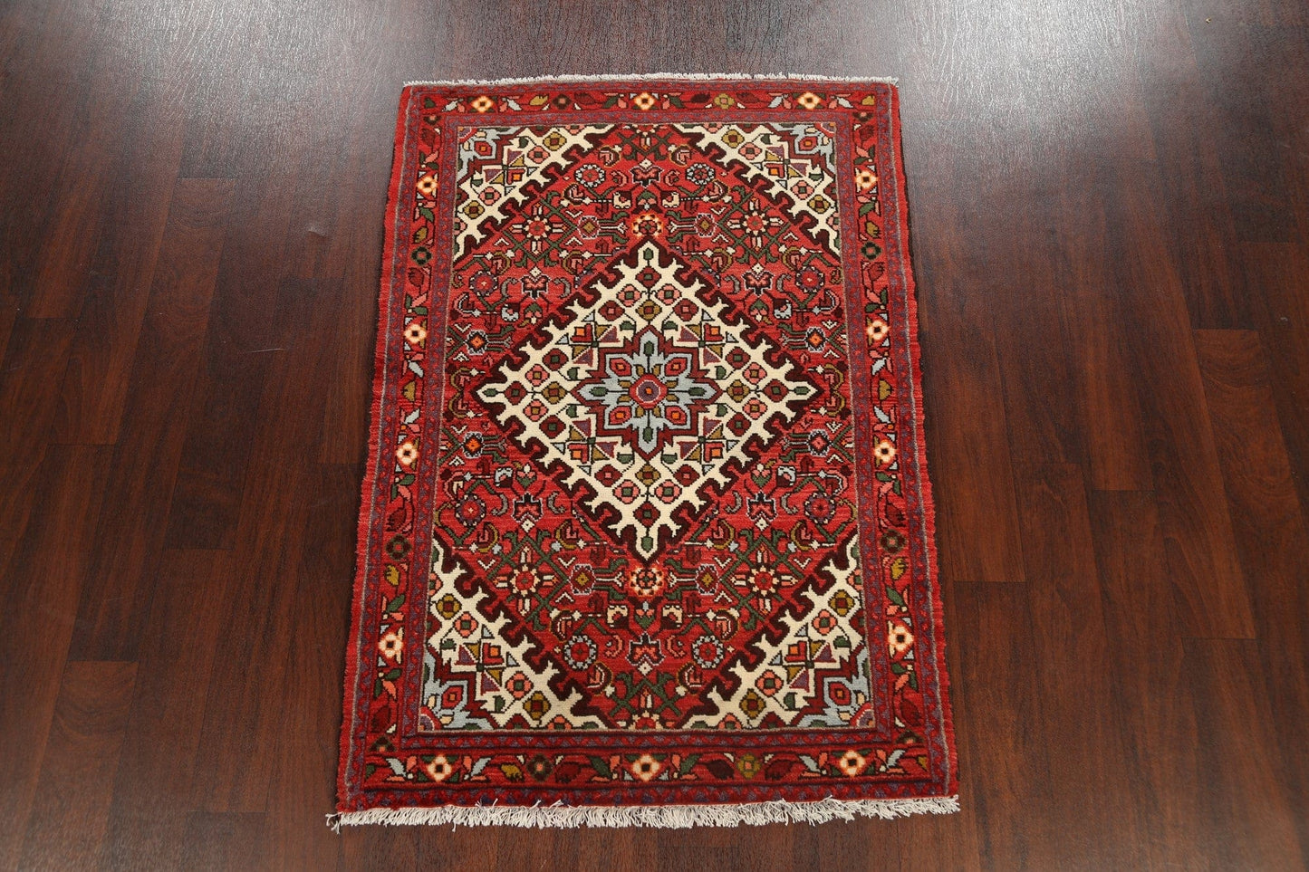 Geometric Hamedan Persian Area Rug 3x5