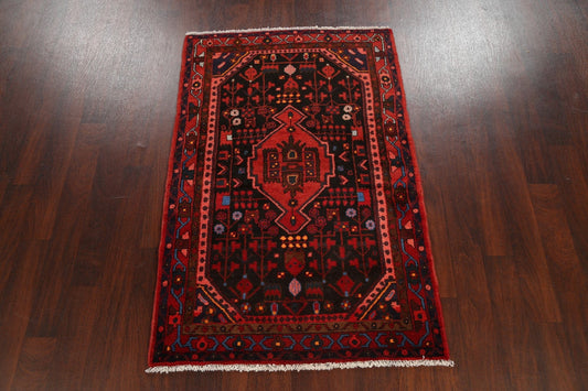 Geometric Hamedan Persian Area Rug 4x6