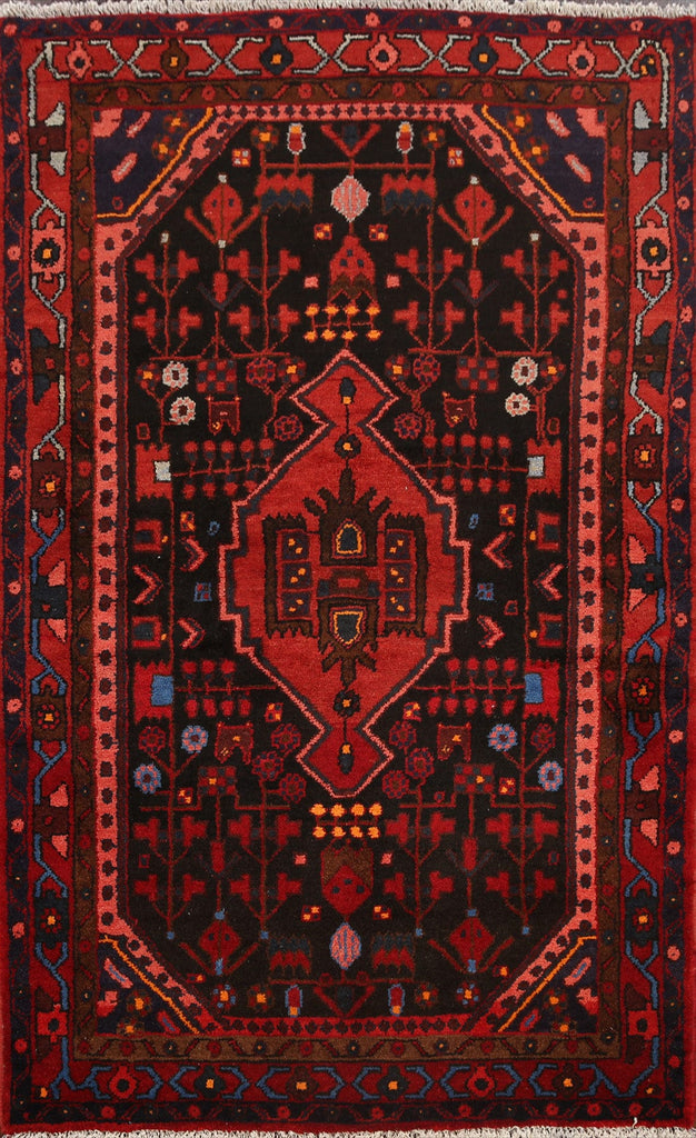 Geometric Hamedan Persian Area Rug 4x6