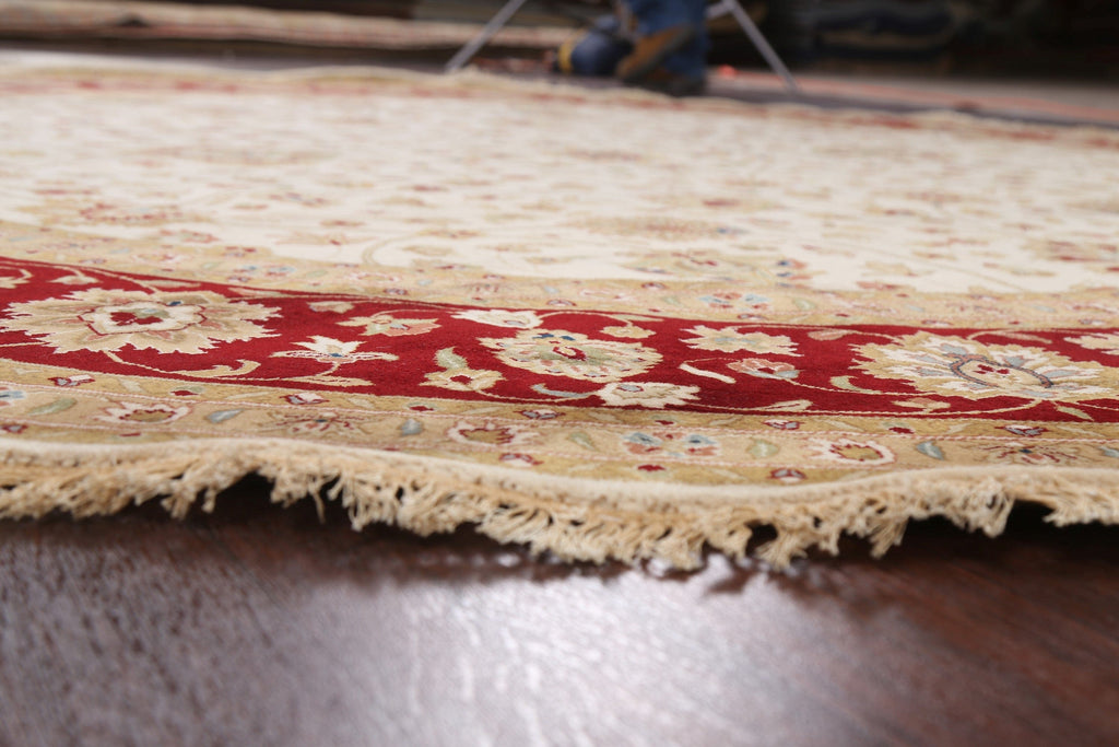 100% Vegetable Dye Round Fine Agra Oriental Area Rug 10x10