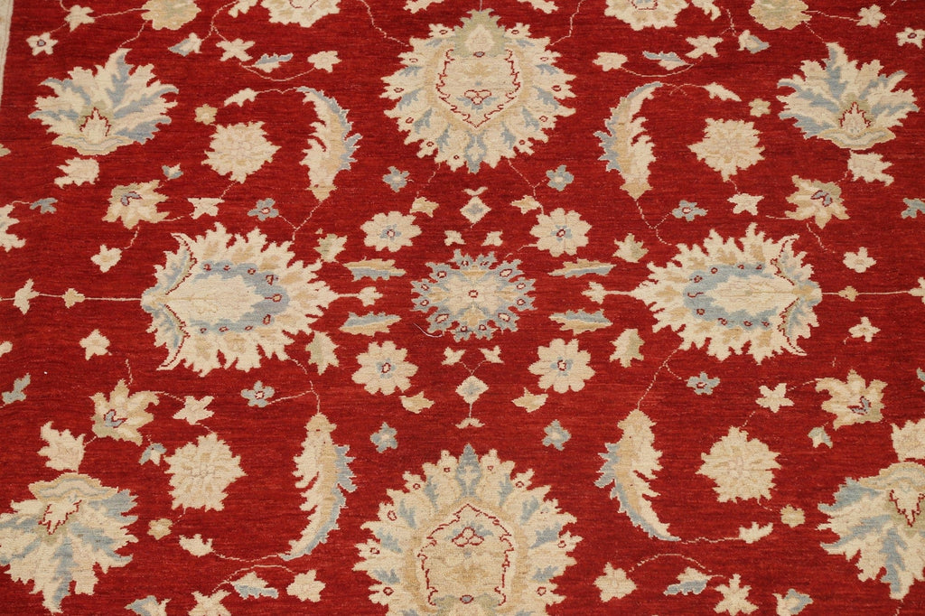 Vegetable Dye Floral Ziegler Oriental Area Rug 10x14