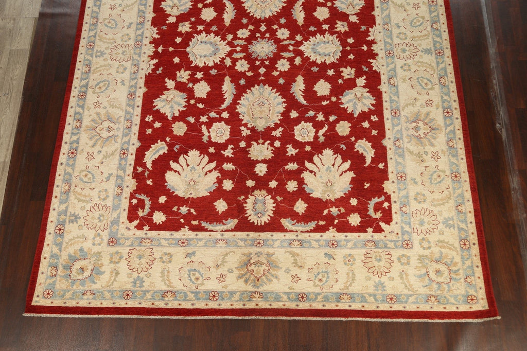 Vegetable Dye Floral Ziegler Oriental Area Rug 10x14