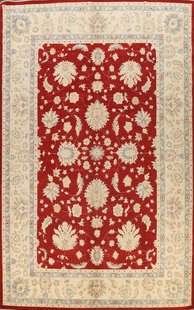 Vegetable Dye Floral Ziegler Oriental Area Rug 10x14