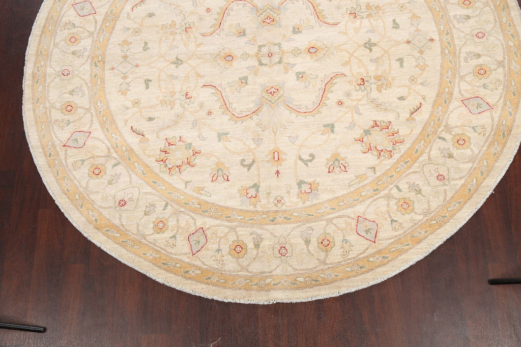 100% Vegetable Dye Round Peshawar Chobi Oriental Area Rug 8x8