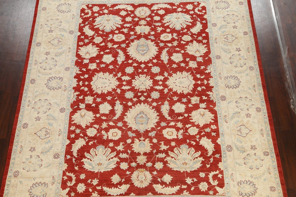 Vegetable Dye Peshawar Chobi Oriental Area Rug 9x12