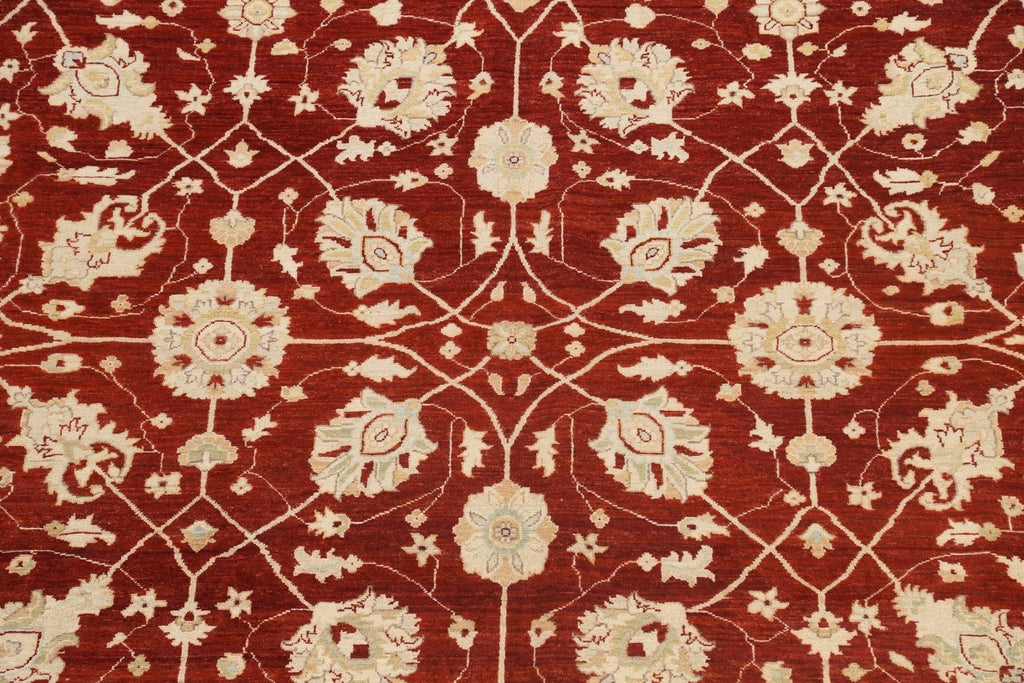 Vegetable Dye Floral Peshawar Chobi Oriental Area Rug 10x14